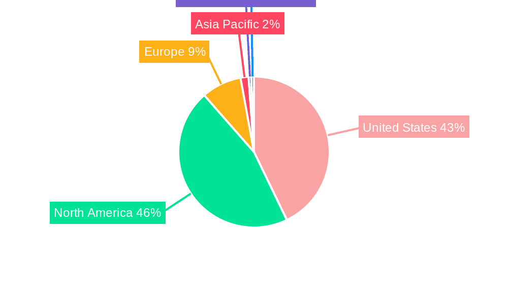 United States Strategy Consulting Market Market Share by Region - Global Geographic Distribution