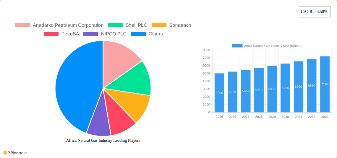 Africa Natural Gas Industry Research Report - Market Overview and Key Insights
