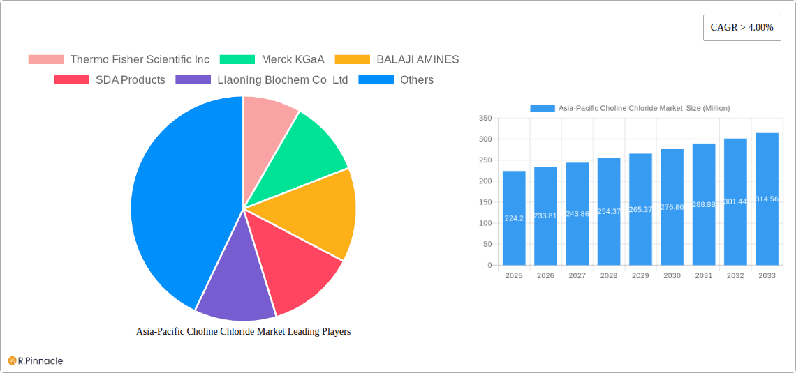 Asia-Pacific Choline Chloride Market Research Report - Market Overview and Key Insights