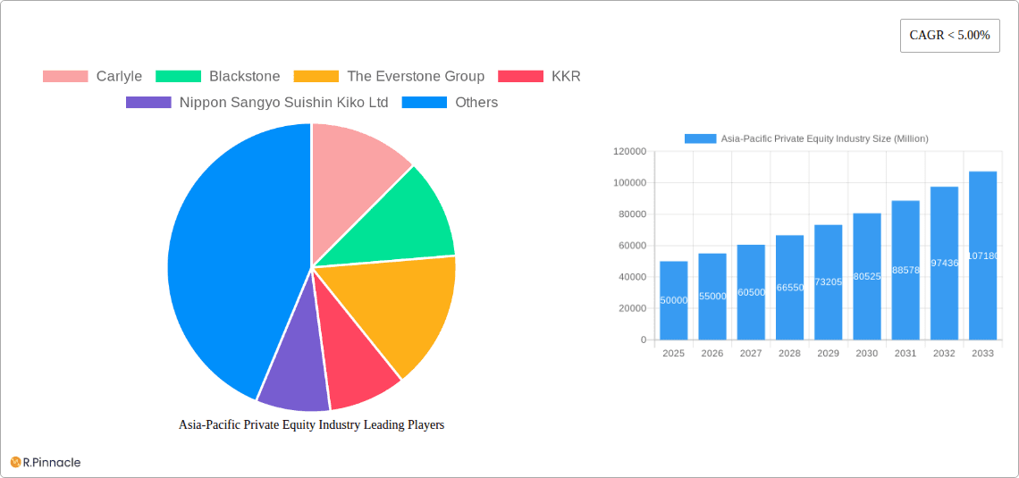 Asia-Pacific Private Equity Industry Research Report - Market Overview and Key Insights
