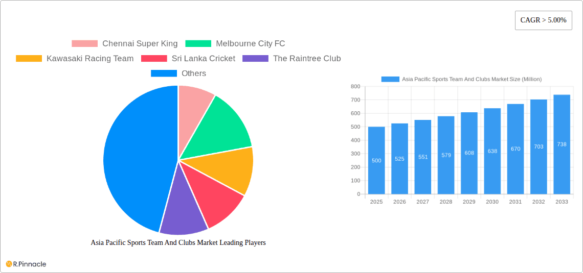 Asia Pacific Sports Team And Clubs Market Research Report - Market Overview and Key Insights
