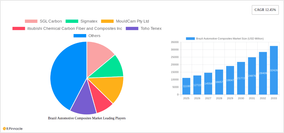 Brazil Automotive Composites Market Research Report - Market Overview and Key Insights