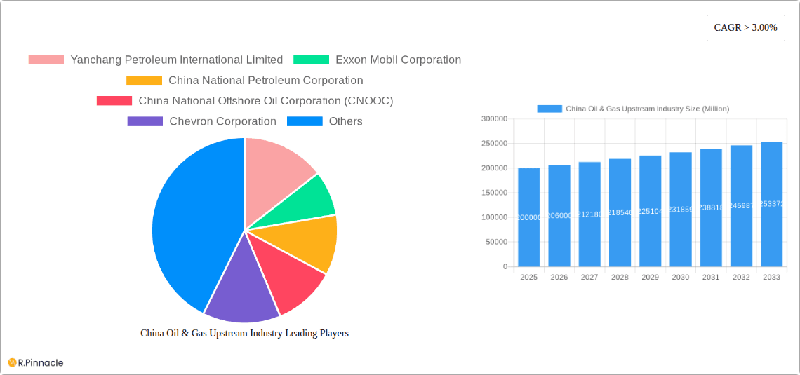 China Oil & Gas Upstream Industry Research Report - Market Overview and Key Insights