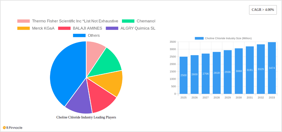 Choline Chloride Industry Research Report - Market Overview and Key Insights