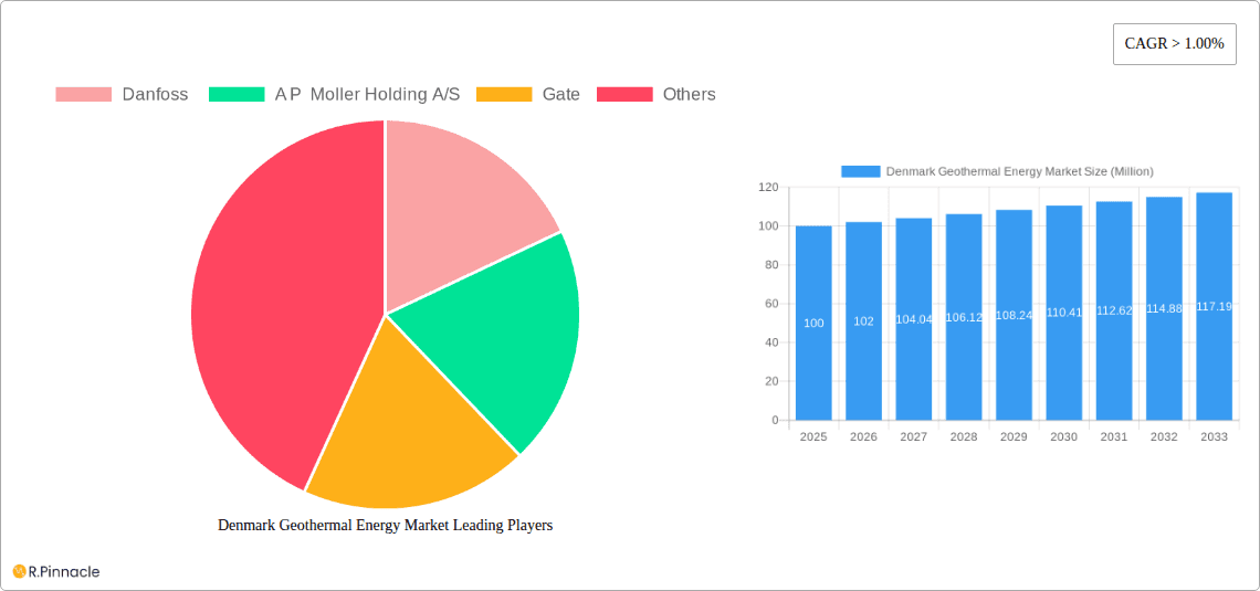 Denmark Geothermal Energy Market Research Report - Market Overview and Key Insights