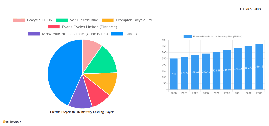 Electric Bicycle in UK Industry Research Report - Market Overview and Key Insights