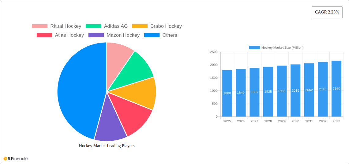 Hockey Market Research Report - Market Overview and Key Insights