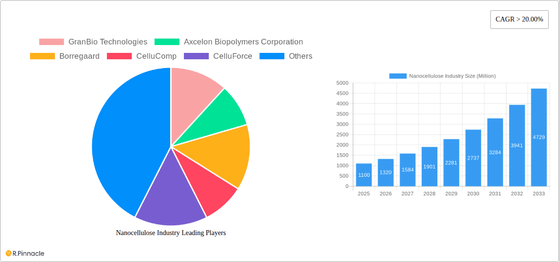 Nanocellulose Industry Research Report - Market Overview and Key Insights