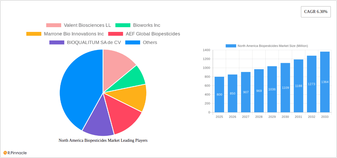 North America Biopesticides Market Research Report - Market Overview and Key Insights
