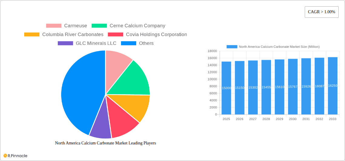 North America Calcium Carbonate Market Research Report - Market Overview and Key Insights