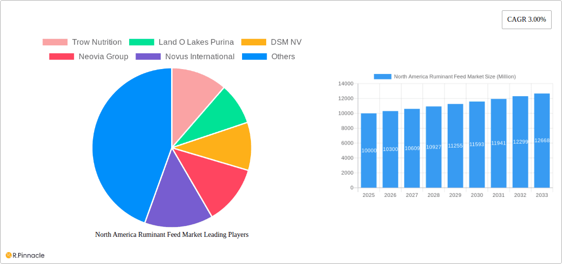 North America Ruminant Feed Market Research Report - Market Overview and Key Insights