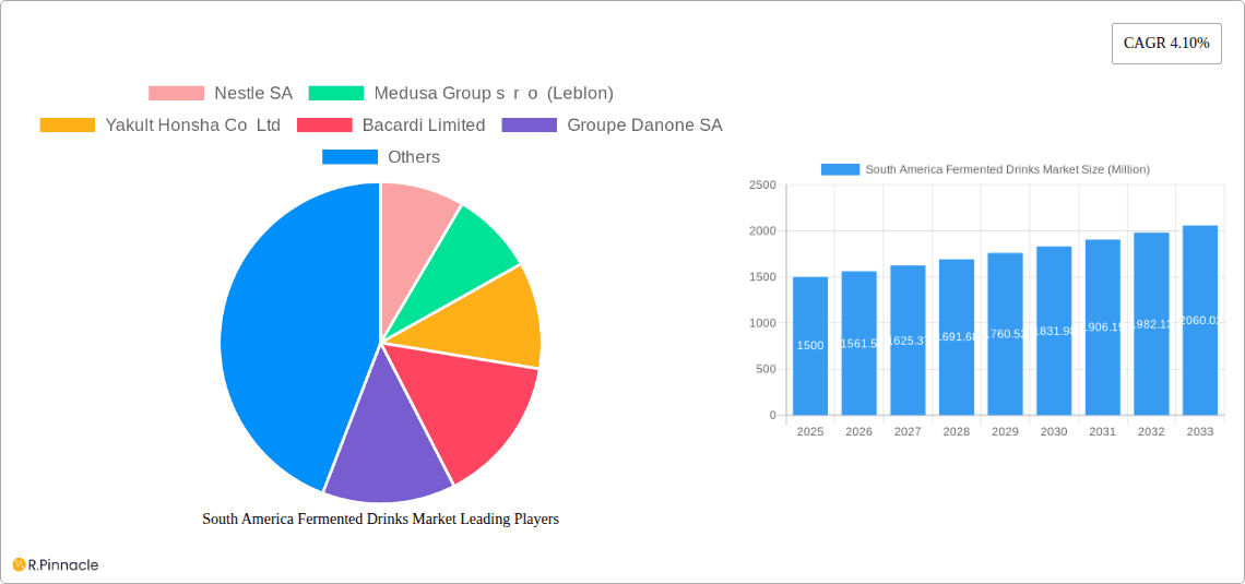 South America Fermented Drinks Market Research Report - Market Overview and Key Insights