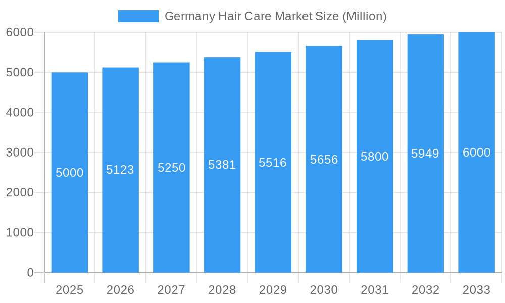 Germany Hair Care Market Market Size and Forecast (2024-2030)