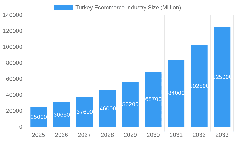 Turkey Ecommerce Industry Market Size and Forecast (2024-2030)