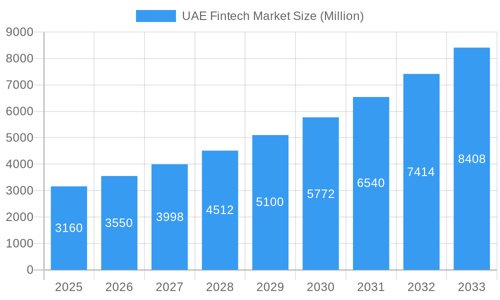 UAE Fintech Market Market Size and Forecast (2024-2030)
