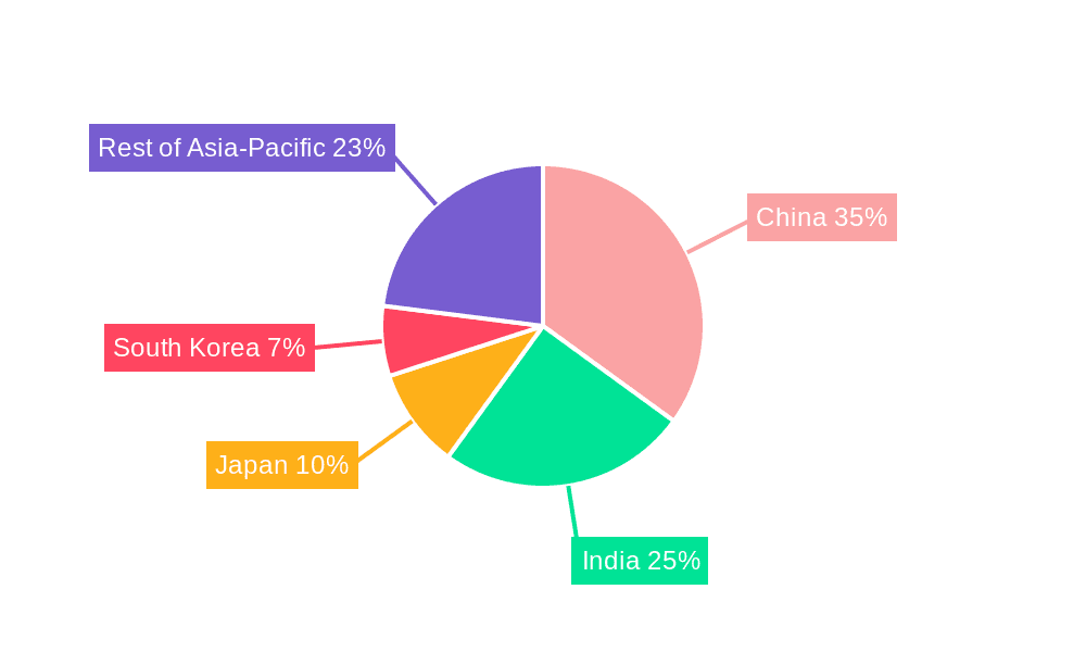 Asia-Pacific Transportation Infrastructure Construction Market Market Share by Region - Global Geographic Distribution
