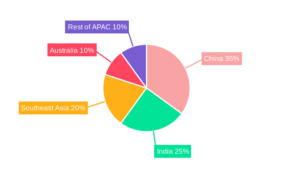Asia Pacific Venture Capital Market Market Share by Region - Global Geographic Distribution