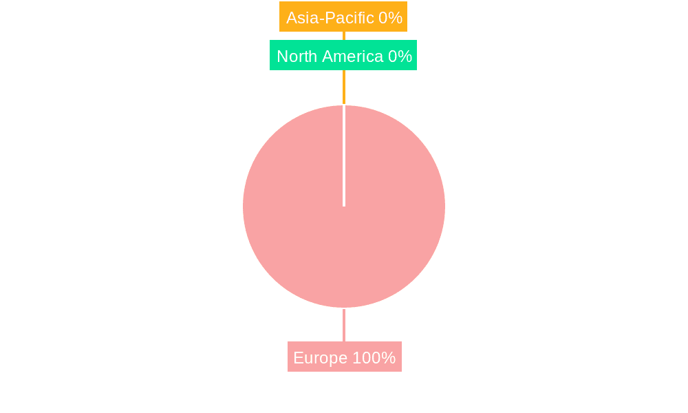 Europe Border Security Market Market Share by Region - Global Geographic Distribution