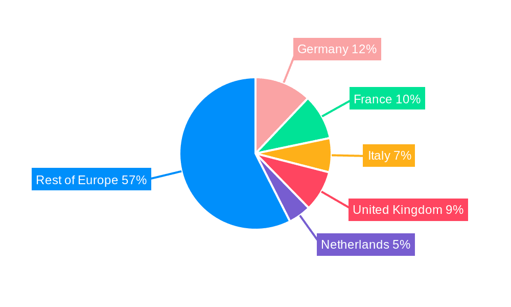 Europe Flame Retardant Chemicals Market Market Share by Region - Global Geographic Distribution