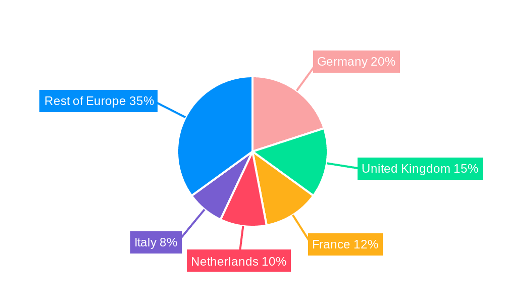 European Customs Brokers Market Market Share by Region - Global Geographic Distribution