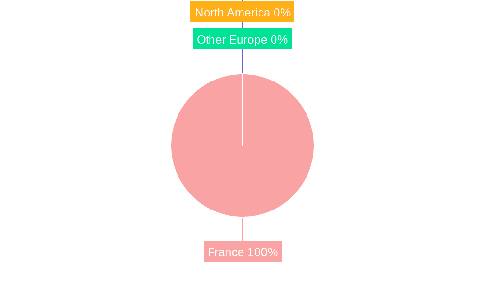 France Aluminium Pigments Market Market Share by Region - Global Geographic Distribution