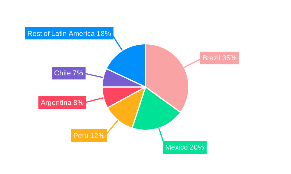 Latin America Container Terminal Operations Market Market Share by Region - Global Geographic Distribution