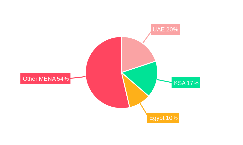 MENA Fintech Market Market Share by Region - Global Geographic Distribution