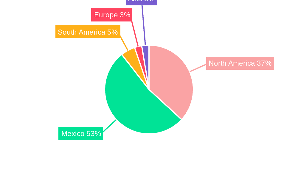 Mexico Calcium Carbonate Market Market Share by Region - Global Geographic Distribution