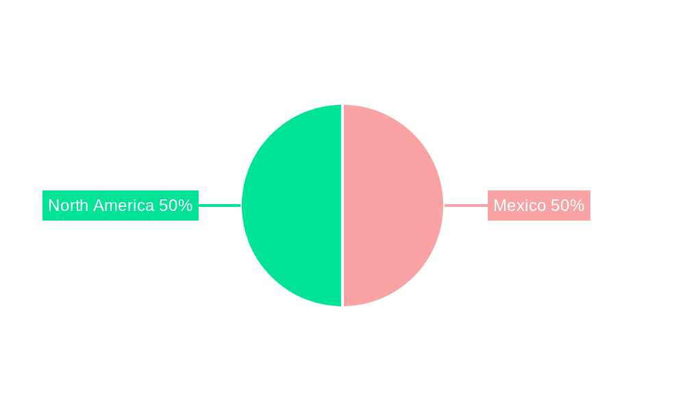 Mexico Small Home Appliances Market Market Share by Region - Global Geographic Distribution