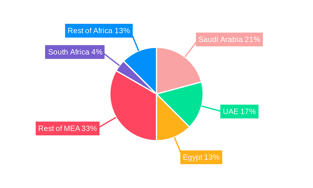 Middle East and Africa Active and Intelligent Packaging Market Market Share by Region - Global Geographic Distribution
