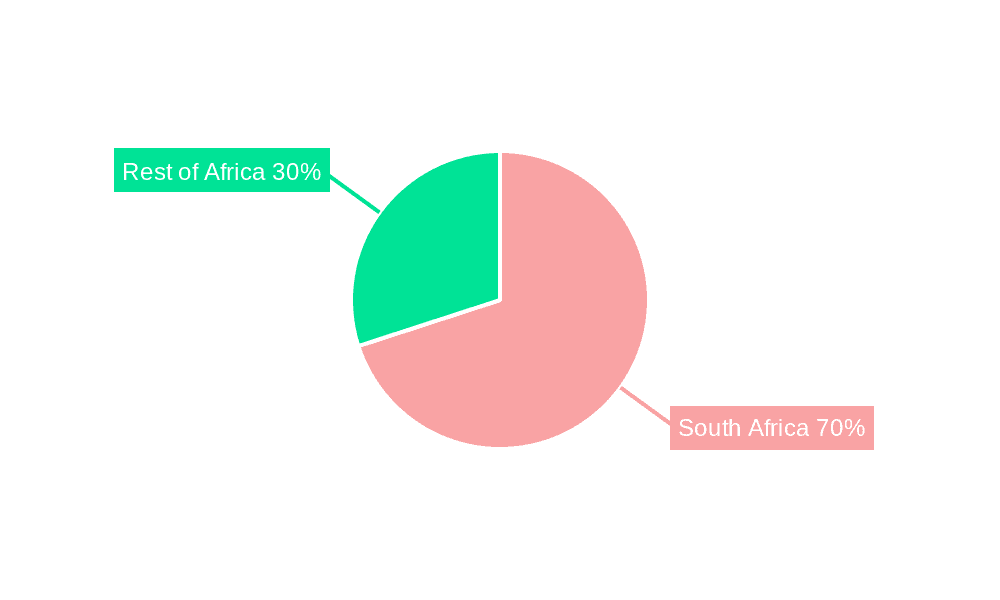 South Africa Flexible Packaging Market Market Share by Region - Global Geographic Distribution