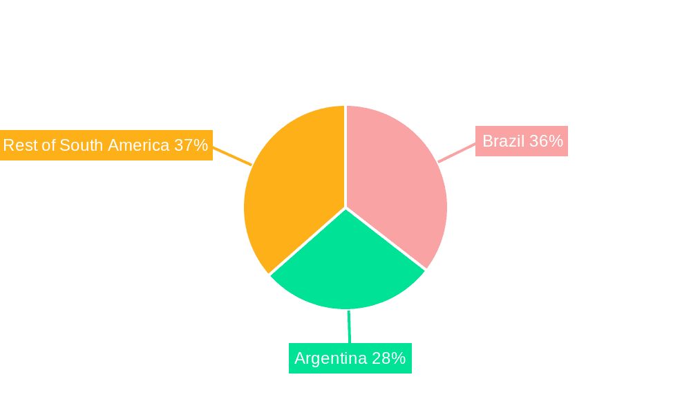 South America Canned Fruits Market Market Share by Region - Global Geographic Distribution