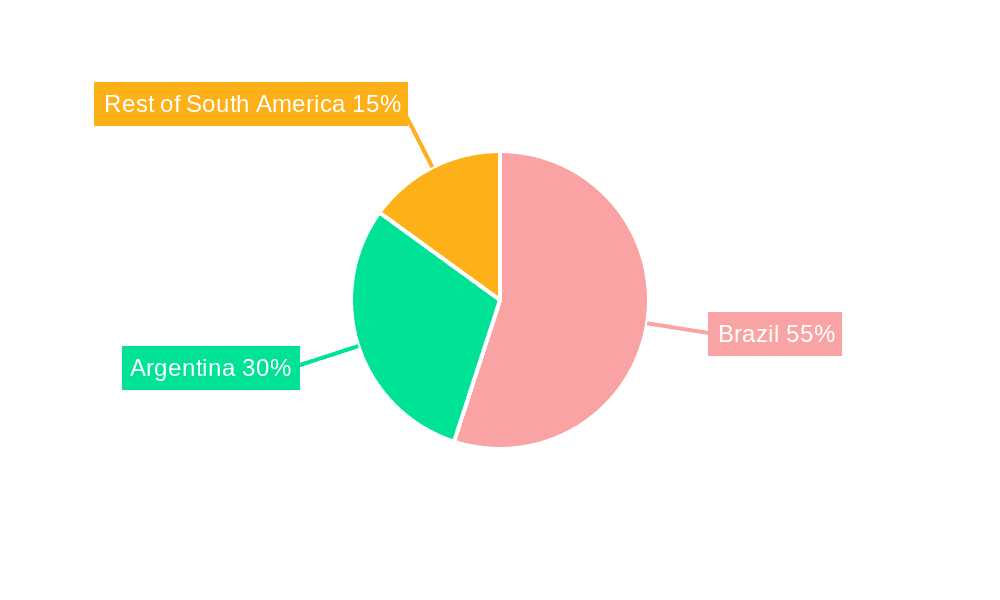 South America Fermented Drinks Market Market Share by Region - Global Geographic Distribution