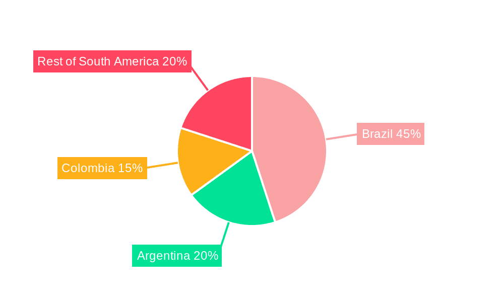 South America Pumped Hydro Storage Market Market Share by Region - Global Geographic Distribution