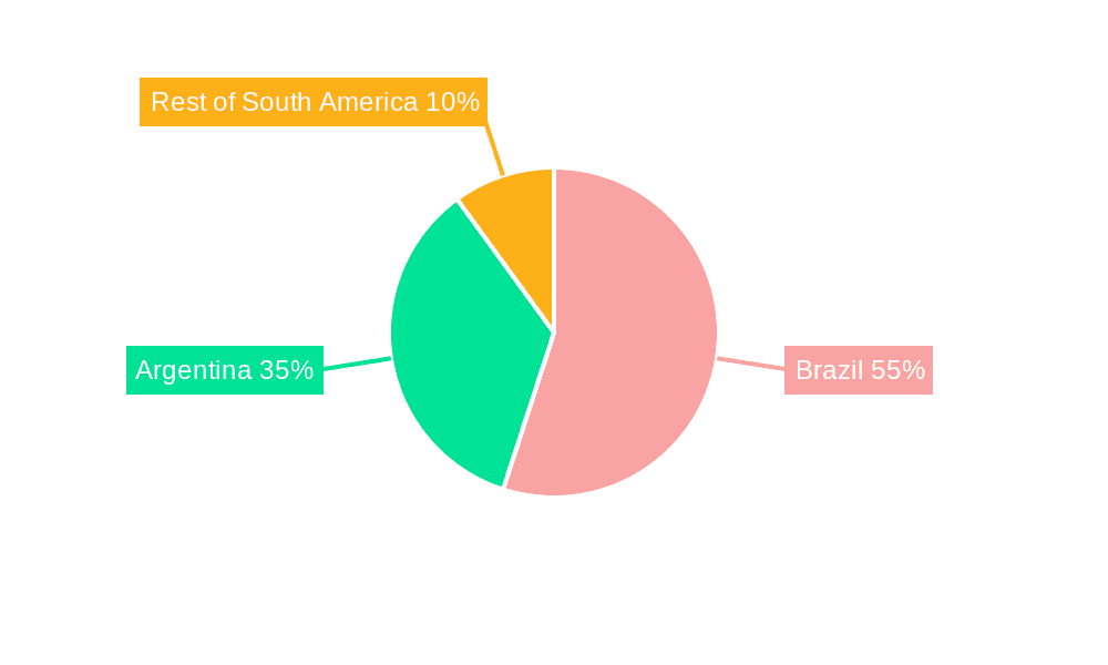 South American Rice Market Market Share by Region - Global Geographic Distribution