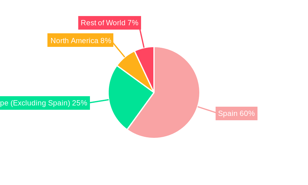 Spanish Ceramic Tiles Industry Market Share by Region - Global Geographic Distribution