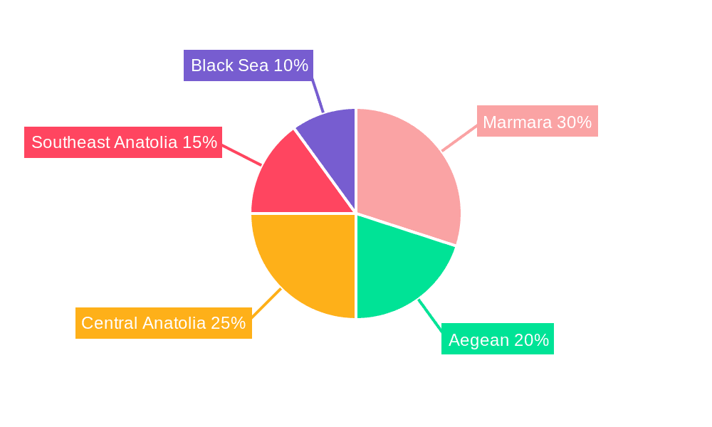 Turkey Poultry Market Market Share by Region - Global Geographic Distribution