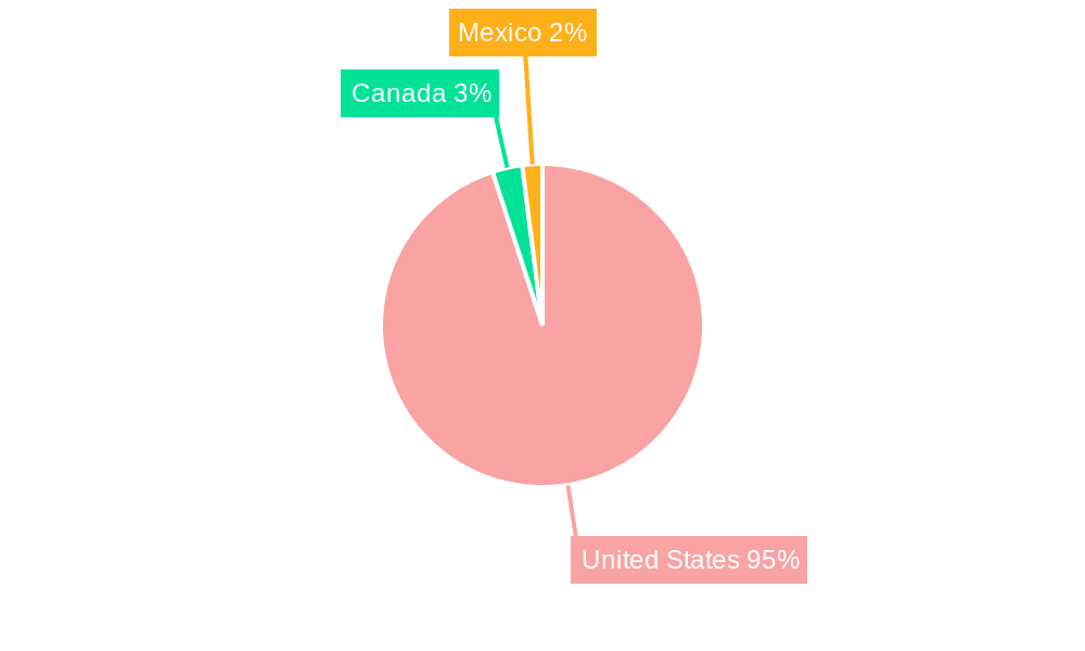 US Healthcare BPO Industry Market Share by Region - Global Geographic Distribution
